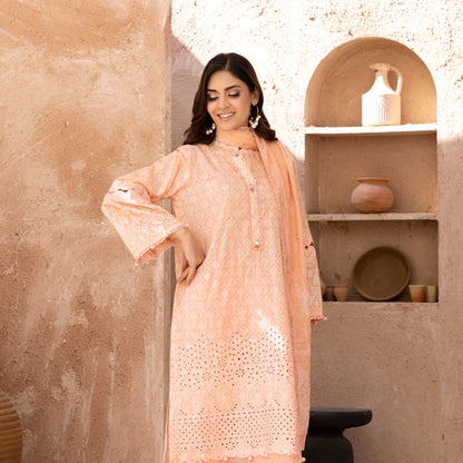 Embroidered Lawn 3PC Suit-ZR056